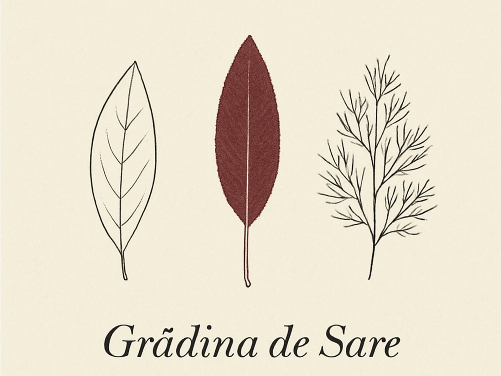 Grădina de Sare &mdash; visual specimen